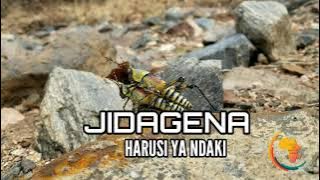 Jidagena__Harusi ya ndaki prod by masuka boy, by SEBLO STUDIO.0743485043