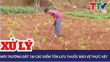 Xử lý môi trường đất tại các điểm tồn lưu thuốc bảo vệ thực vật | NSTH