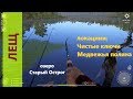 Русская рыбалка 4 - озеро Старый Острог - Лещ вокруг ямки