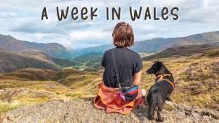 Travel to Wales with Me | Van Life, Hiking & Road Trip
