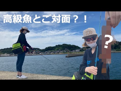 【高級魚？！】１年ぶりの釣りでまさかの遭遇！絶景もお届け【釣りガール】