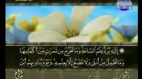 جزء(25)من القران الكريم بصوت الشيخ سعد الغامدي
