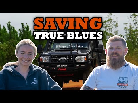 #54 - SAVING TRUE BLUES - Lucinda Harvey working to improve the mental health of the 4WD community