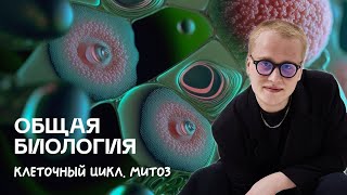 картинка: Биология ЦТ | Клеточный цикл. Митоз | Ян Менделеев