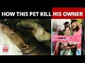 Gambar cover Lucknow Woman Mauled To Death By Her Pet Pitbull Dog