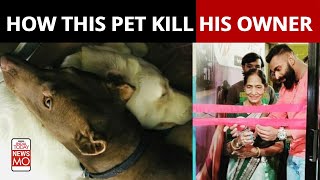 Lucknow Woman Mauled To Death By Her Pet Pitbull Dog