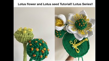 Lotus flower,Lotus seeds with two designs!! Lotus series!!
