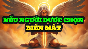 NGƯỜI ĐƯỢC CHỌN: SỰ THẬT ĐẰNG SAU VIỆC BẠN BIẾN MẤT VÀ THẾ GIỚI CỦA HỌ SỤP ĐỔ**