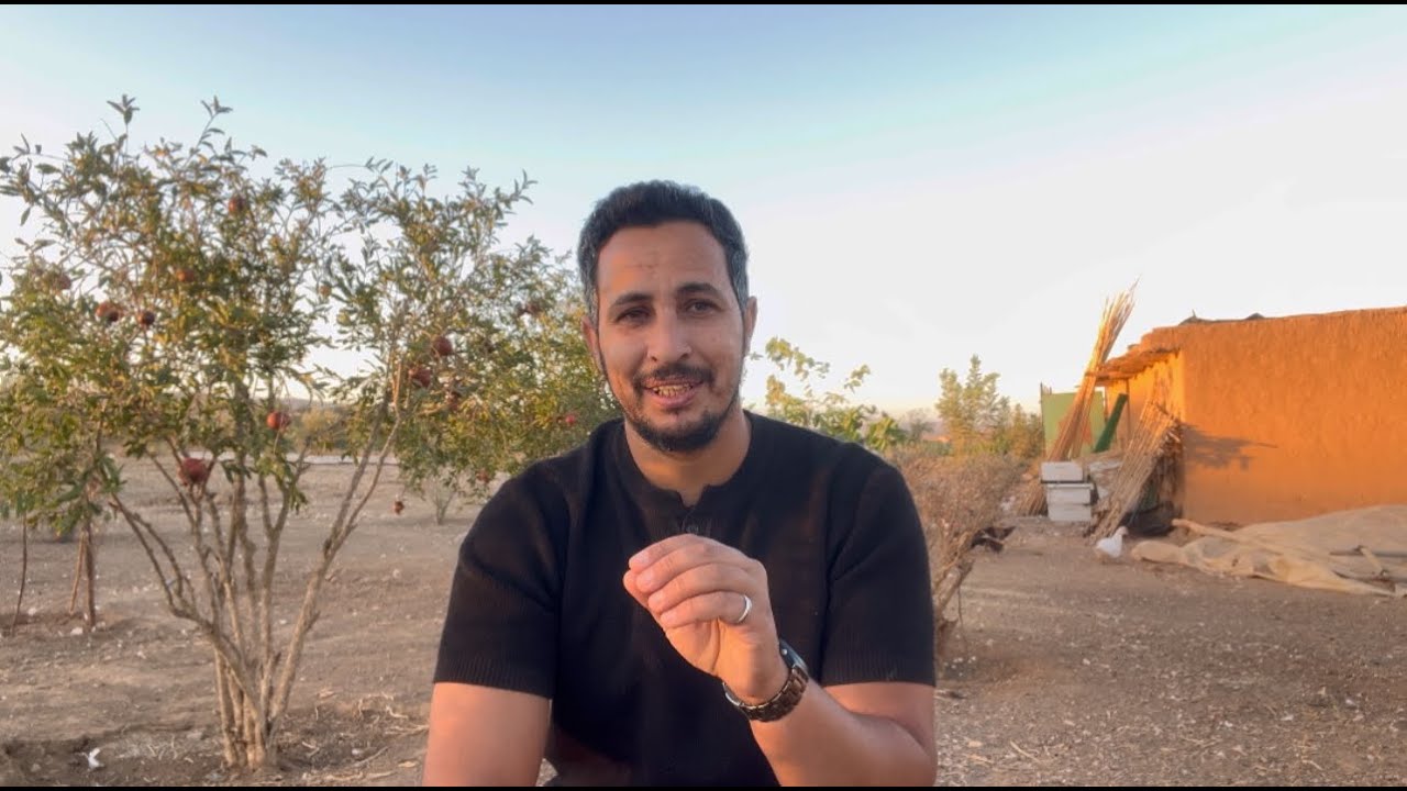 أرض فلاحية للبيع 2 ونصف هكتار فيها بئر و بسان  و أشجار الزيتون  0642416224