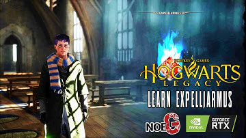 Hogwarts Legacy #PC Professor Hecat