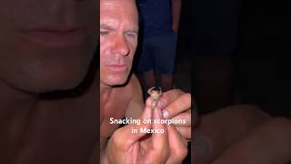 Roasted Scorpion bedtime snack