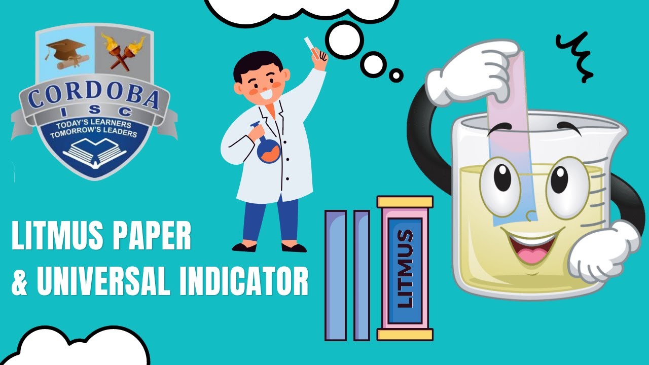 litmus paper and universal indicator YouTube