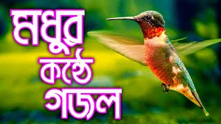 মন প্রান উজাড় করা কোমল সুরে নবীর গুনগানের গজল best of Islamic bangla Gojol2023