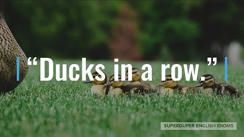 "Ducks in a Row" Idiom Meaning, Origin & History | Superduper English Idioms