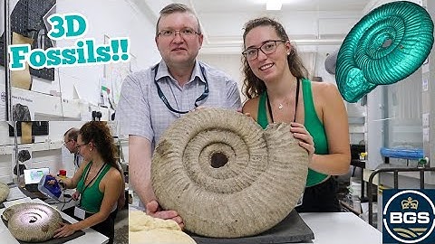 3D Scanning HUGE Ammonite Fossils 🦕 Fossil Friday 🦕