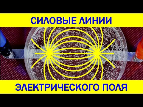 Video: Magnetna levitacija: opis, karakteristike i primjeri