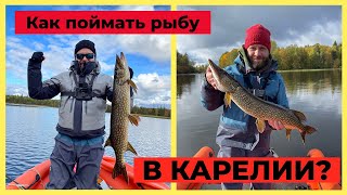 Рыбалка в Карелии. Водометный экстрим на лодке Solar 430SJT + Golfstream T30 Jet.