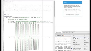 Hexadecimal and ASCII Converter - Final Project