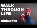 Pinkzebra walk through life  happy background music fors