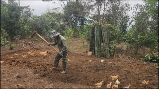 Transforming vacant land in the forest into a vegetable garden