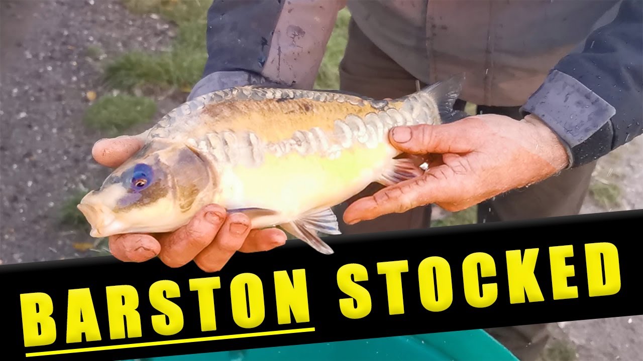 HUGELY POPULAR FISHERY GETS STOCKED