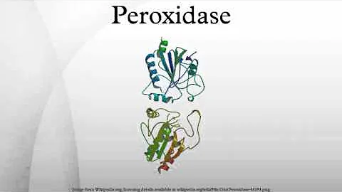 Como é o mecanismo de peroxidase?