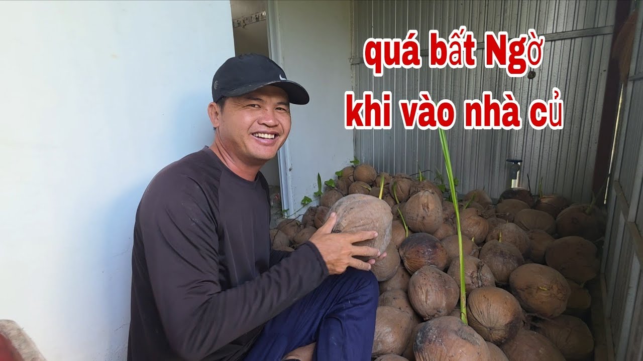 Hai Vợ Chồng Quá Bất Ngờ Khi Vào Ngôi Nhà Củ | TTVlog 