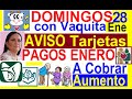 DOM C VAQUITA: A COBRAR IMSS, ISSSTE + PAGOS 29 AL 31 ENERO BIENESTAR, AVISO TARJETAS RESUMEN 28 ENE