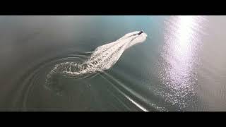 Insoft Team Building