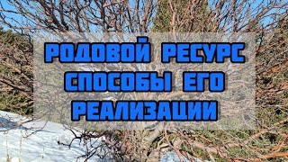 Родовой ресурс и его коррекция. Как реализовать энергию рода!