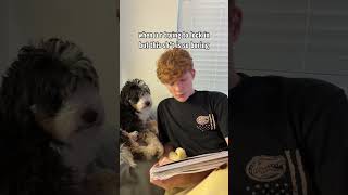 POV: you try to lock in and your brain clocks out #memes #relatable #shorts