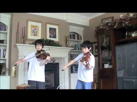 Twin Fiddles - Tennessee Waltz