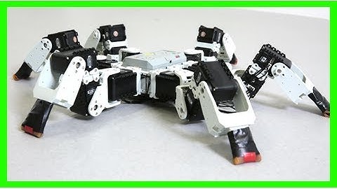 Special gait helps this six-legged robot outpace insects