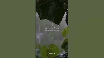 قراءة لما تيسر من القران الكريم تلاوة قران كريم #اكسبلور #لايك #متابعة