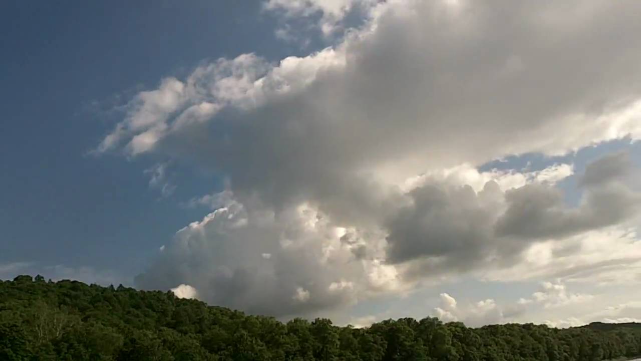 Fly fishing for american shad delaware river 2010 YouTube