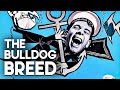 The bulldog breed  classic movie