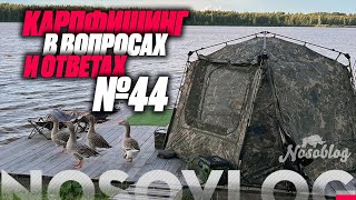 Карпфишинг в вопросах и ответах #44, Колесников А.