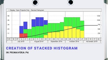 Creation of Stacked Histogram in Primavera P6