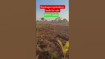 #hyderabad Shadnagar agriculture lands for sale #farming plots in shadnagar