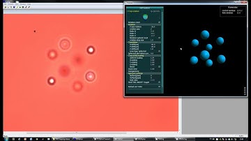 Holographic optical tweezers, optical trapping of fluorescent microbeads
