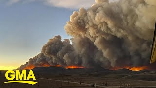 Wildfires wreak havoc in Colorado and California | GMA