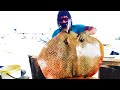 GIANT STINGRAY FISH CUTTING | Stingray Fish Cutting  Skill | Made In Sri Lanka