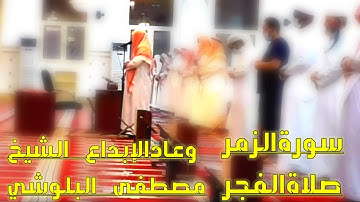 ﴿الله خالق كل شيء﴾ {وعاد الإبداع} فجرية إبداعية للشيخ مصطفى البلوشي من سورة الزمر ١٤٤٢/٤/٣