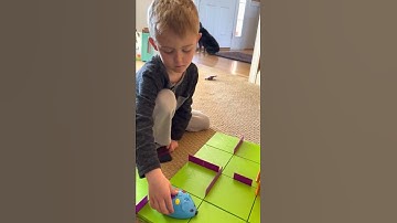 Code and Go Robot Mouse Video