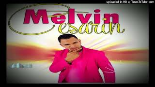 Melvin Cesarin - Amor de Veranó