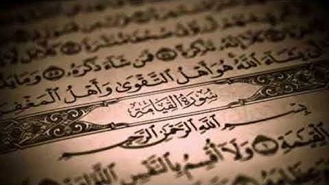 سورة القيامة - إبراهيم محمود