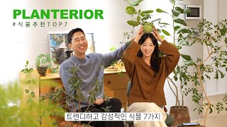 인테리어를 업그레이드 시켜줄 트렌디한 식물 추천!🌿 베란다 없이도 잘 커요 l 플랜트샵 추천 l 플랜테리어