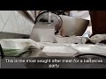 BEEF SHORT PLATE||| .... #shorts