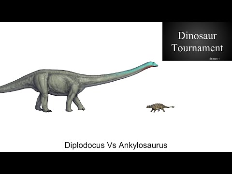 Dinosaur Tournament Season 1 Diplodocus Vs Ankylosaurus