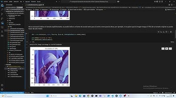 Procesado de imagen 2 - Transformaciones geométricas